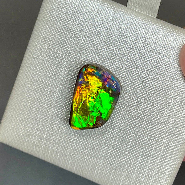 5.5ct boulder opal 13.7x9.1x4.6MM